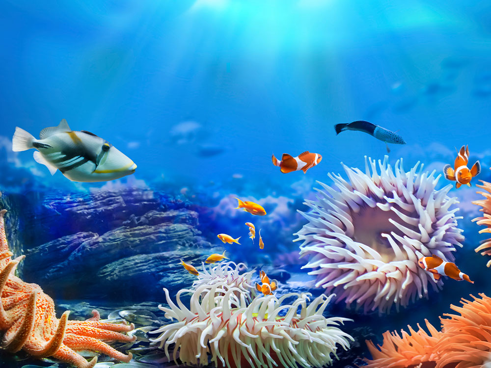 Marsa Alam Urlaub