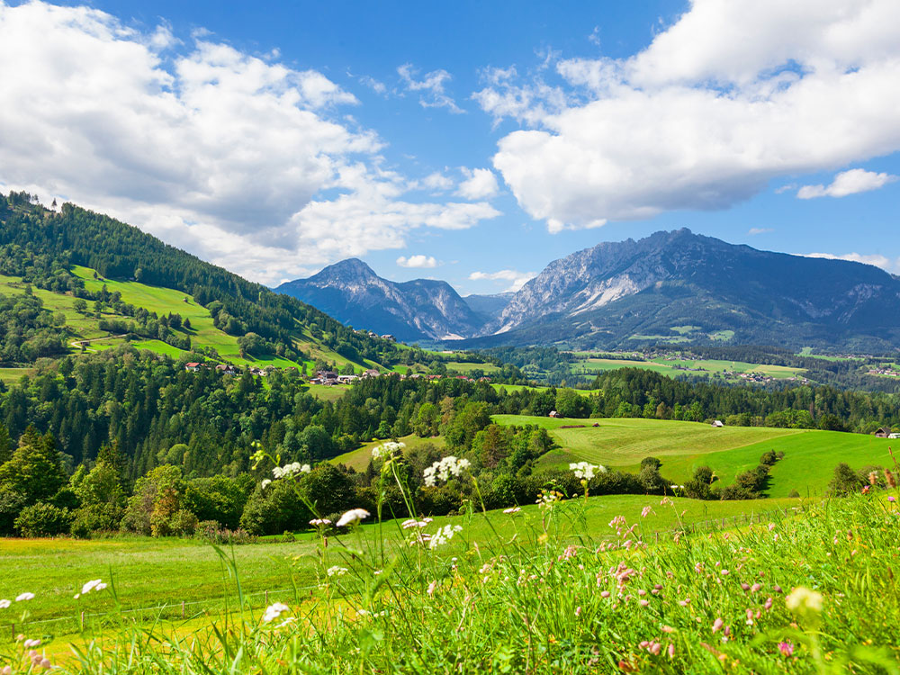 Urlaub in der Steiermark